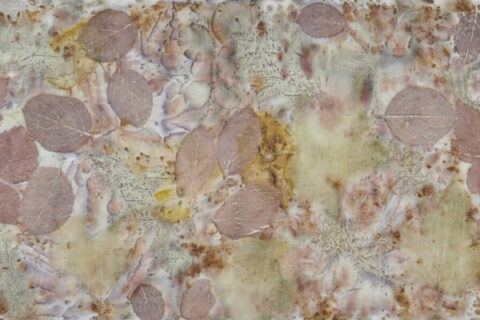 Eco-printen met natuurlijke producten