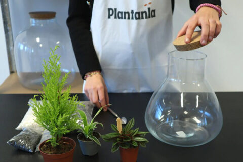 Geef je interieur een boost