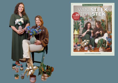 Van Steek tot Stek (Marjolein en Marjolijn)